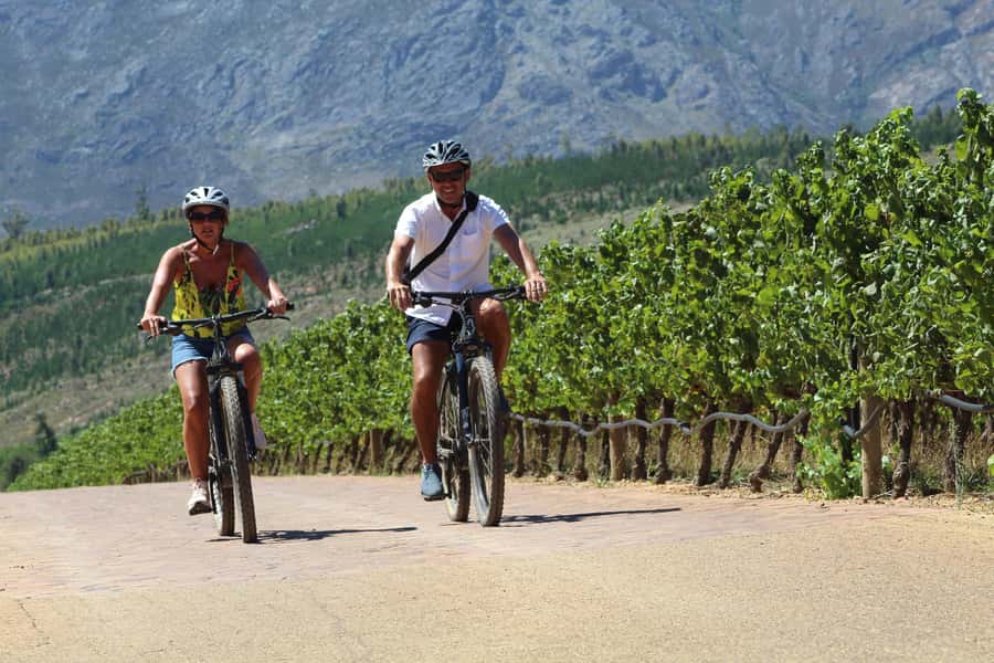 Stellenbosch: Wine Farm E-Bike Guided Tour - Starting at Lanzerac and Getting Set Up