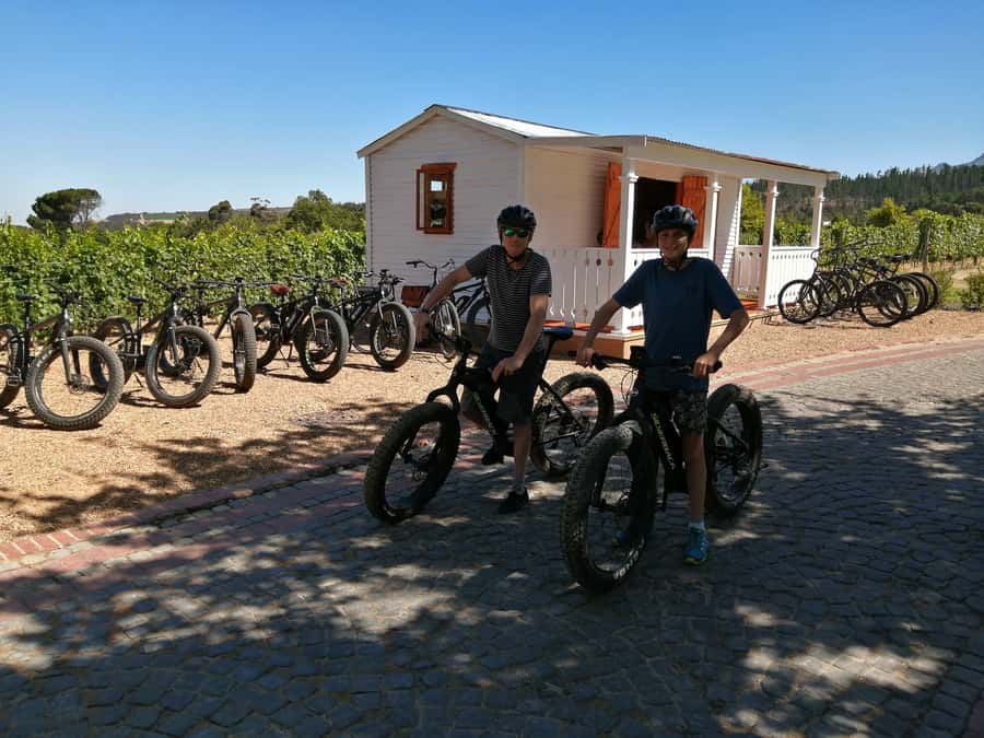 Stellenbosch: Wine Farm E-Bike Guided Tour - The First Wine Farm Stop