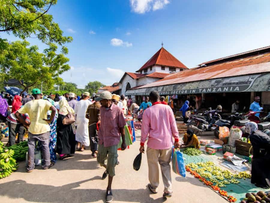 STONE TOWN AND SPICE FARM TOUR - Key points to know