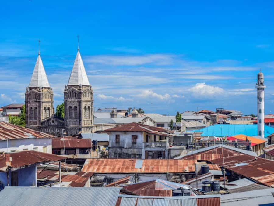 STONE TOWN AND SPICE FARM TOUR - Who will enjoy this tour most?