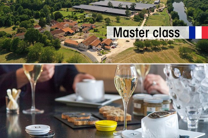 Sturgeon Fish-Farm Visit and Caviar Master Class Tasting in Neuvic - Key points to know before booking