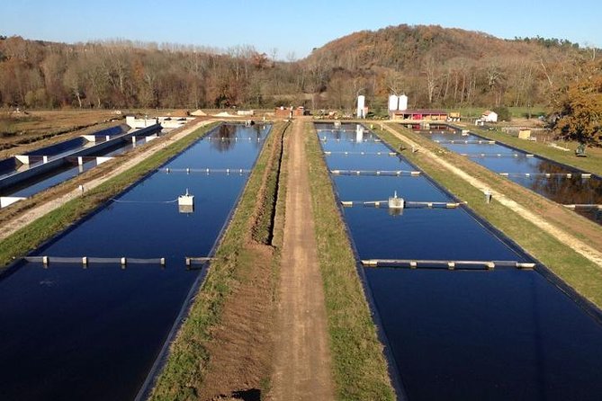 Sturgeon Fish-Farm Visit and Caviar Master Class Tasting in Neuvic - Entering Domain Huso in Neuvic
