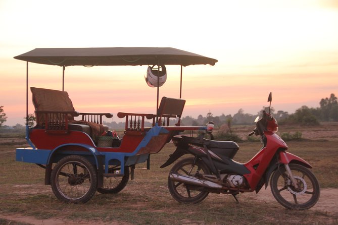 Sunset Dinner at Rice Paddy Fields - Weather, comfort, and the outdoor setting