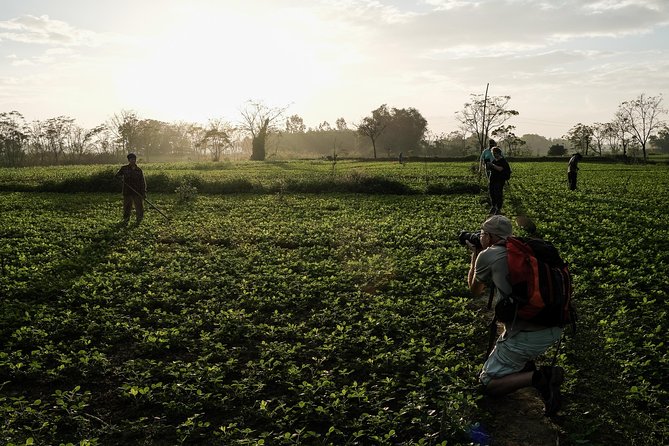 Sunset photo tour with the farmers - What the Strengths and Weaknesses Tell You