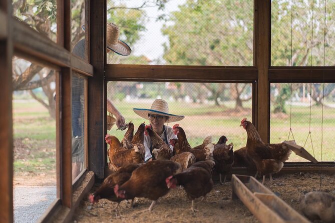 Sunset Thai Cooking with Grandma - Farm & Evening Feast - Eating Five Fresh Thai Dishes
