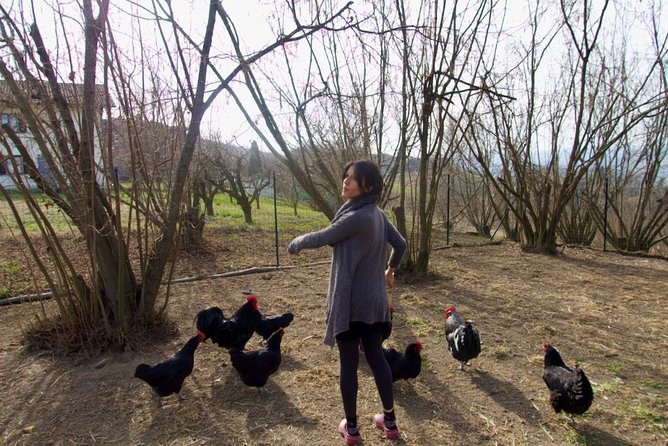 Sustainable Farm Tour & Northern Italian Cooking Class in Asti - What makes the private format worthwhile