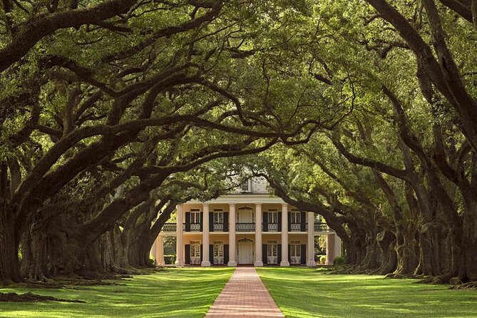 Swamp Boat Ride and Oak Alley Plantation Tour from New Orleans - What the price includes at $131