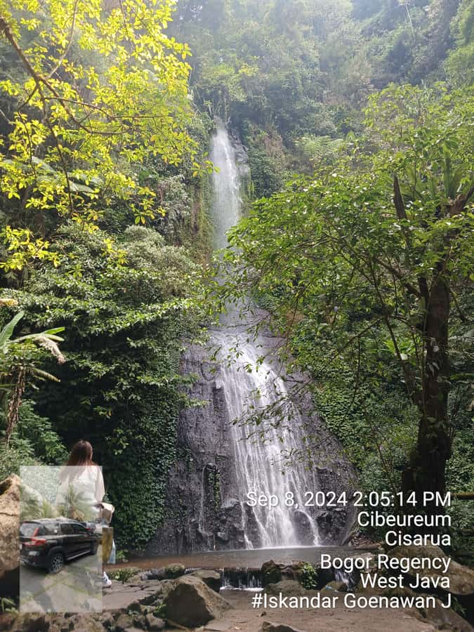 Taman Safari and Tea Plantation Tour at Puncak - Feeding animals from the car
