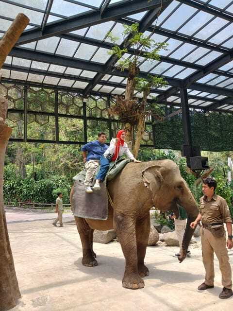 Taman Safari and Tea Plantation Tour at Puncak - Lunch and the value of a private guide