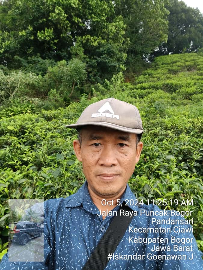 Taman Safari and Tea Plantation Tour at Puncak - What is included, and what costs extra