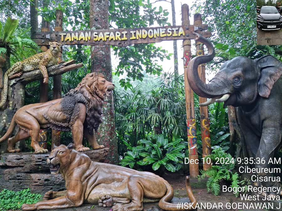 Taman Safari and Tea Plantation Tour at Puncak - Who will enjoy this 10-hour outing