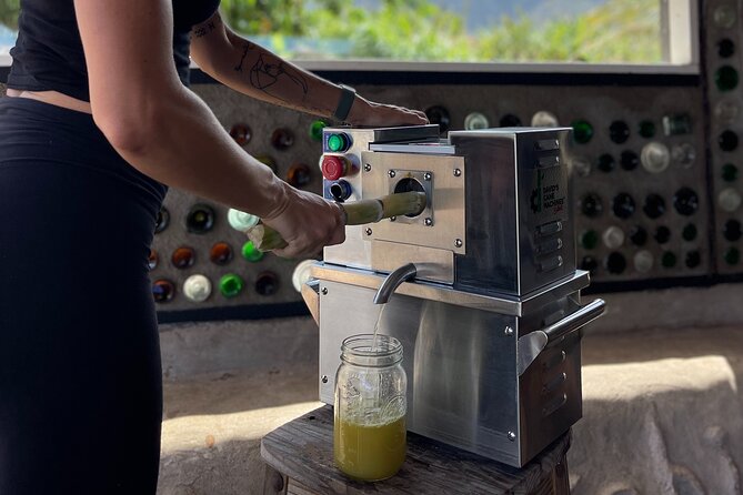 Taste of Hawaii: A Maui Farm Tour - Learning about Hawaiian crops and farming methods