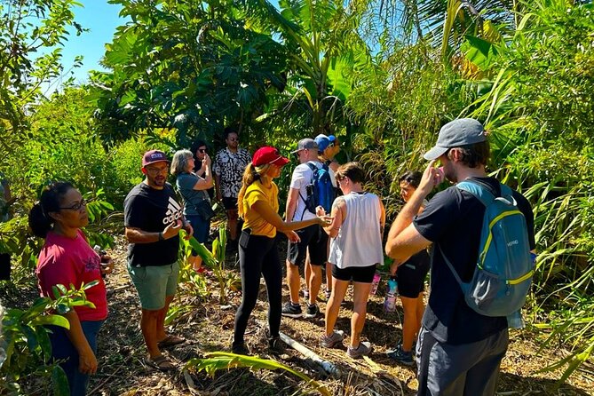 Taste of Hawaii: A Maui Farm Tour - Friendly pigs, unusual fruit, and real farm texture