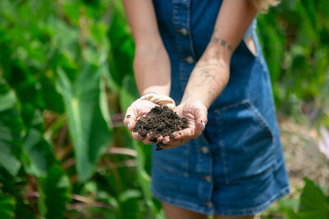 Taste of Hawaii: A Maui Farm Tour - Timing, meeting point, and practical planning