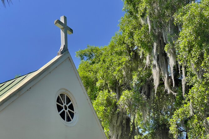 Taste of Historic Plantations 1/2 Day Tour - Magnolia Plantation and the Live Oak Alley