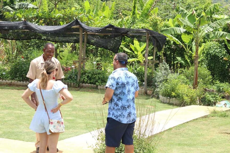 Taste of Jamaica Farm & Food Tour - A different side of Jamaica near Ocho Rios