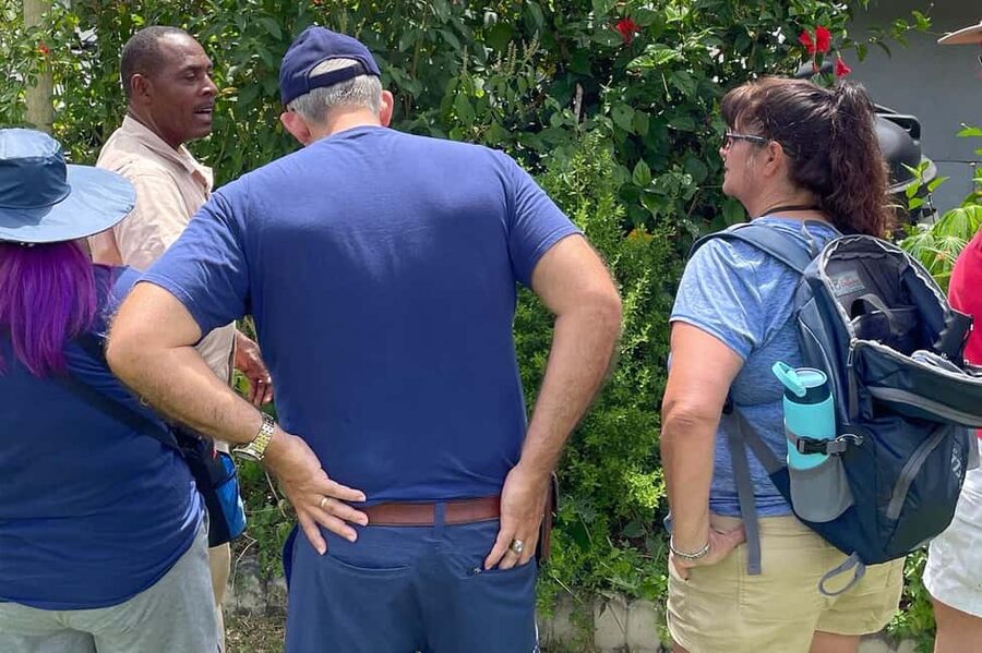 Taste of Jamaica Farm & Food Tour - Coffee, fruit, crops, and farm animals