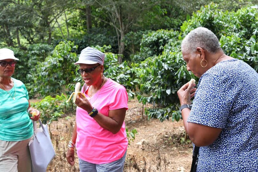 Taste of Jamaica Farm & Food Tour - Taking home herbs and Jamaican flavors