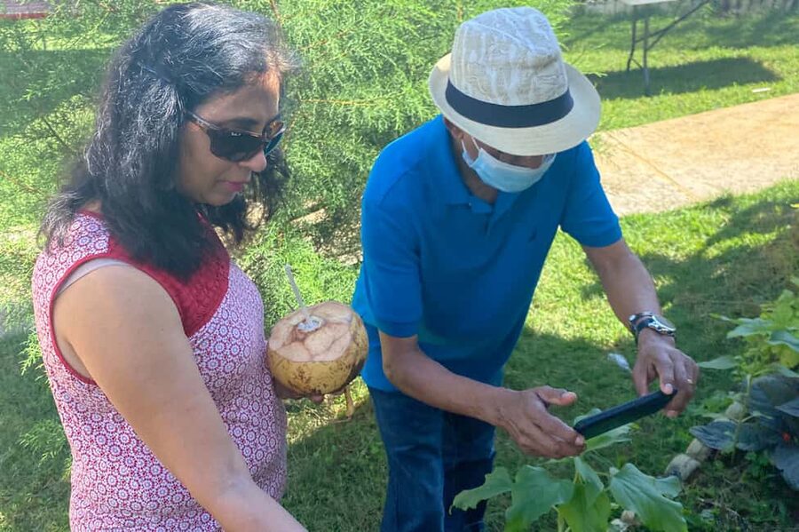 Taste of Jamaica Farm & Food Tour - Who will get the most from this tour