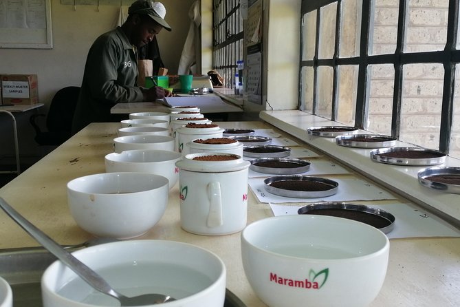 Tea Farm Experience at Riara Tea Farm And Factory Tour - Who will enjoy this experience most