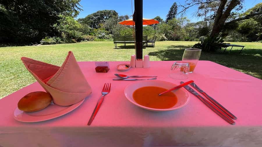 Tea Farm Tour From Nairobi (Kiambethu). - Key points to know before booking