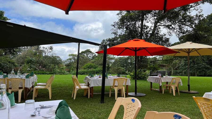 Tea Farm Tour From Nairobi (Kiambethu). - Who will enjoy Kiambethu most