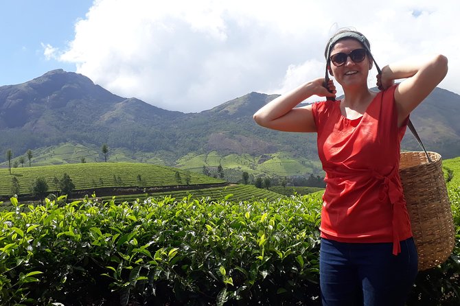 Tea Farm Tourism - Tea country above Munnar