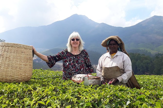 Tea Farm Tourism - Meeting tea pickers and seeing local work