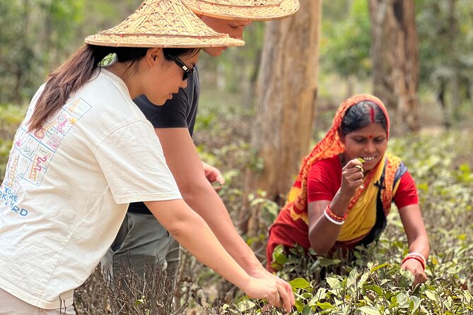 Tea Plantation and Rainforest Tour with Tribal Life in Sreemangal - Key Points to Know Before Booking