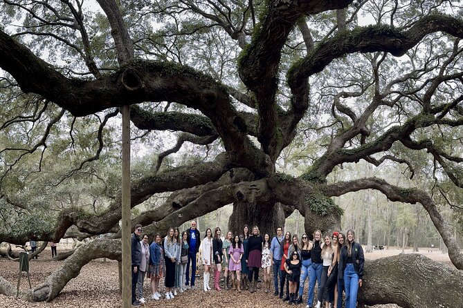 Tea Plantation and Winery Tour in Charleston - From downtown Charleston to the Angel Oak