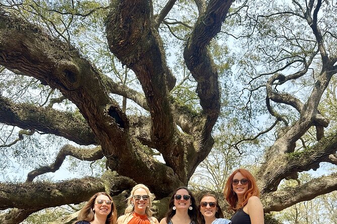 Tea Plantation and Winery Tour in Charleston - A comfortable ride with a social feel