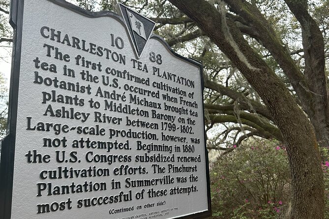 Tea Plantation and Winery Tour in Charleston - Inside the Charleston Tea Garden
