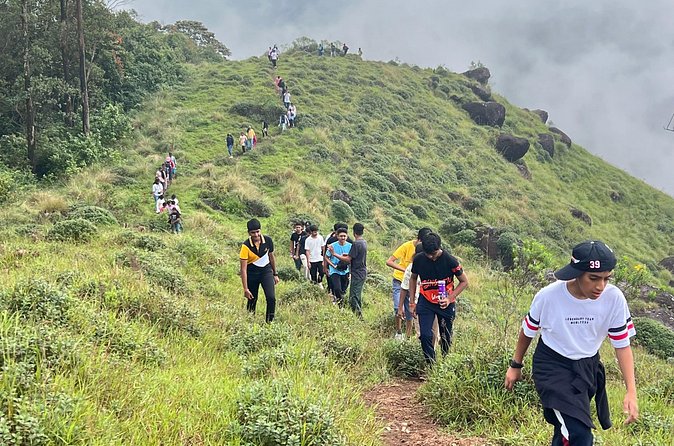 Tea Plantation, Grass Land and Mountain Hiking in Munnar - Descending back to the starting point
