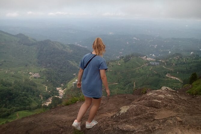 Tea Plantation, Grass Land and Mountain Hiking in Munnar - The first hour through Munnar’s tea plantations