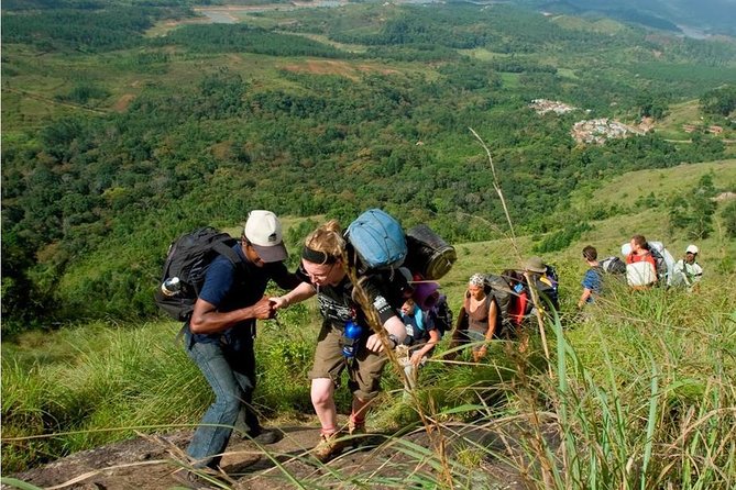 Tea plantation walk and stay in valley view Room (By Munnar Info) - Five hours among Munnar’s tea gardens