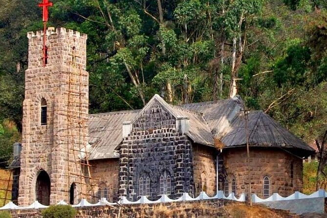 Tea plantation walk with Visit of Historical ,village & Market - Should you book the tea plantation and market walk?