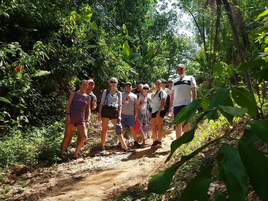 Temple and Jungle Trekking tour with Lunch at Farm-to-Table - Coconut, fruit, and a view over Phuket