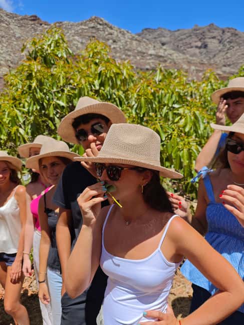 Tenerife: Avocado Farm Tour with Tasting Menu & Wine - Key points to know before booking