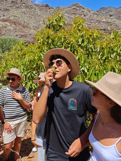 Tenerife: Avocado Farm Tour with Tasting Menu & Wine - Why the Tahodio Valley makes this visit different