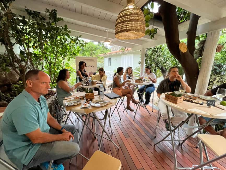 Tenerife: Avocado Farm Tour with Tasting Menu & Wine - What to bring for a comfortable visit