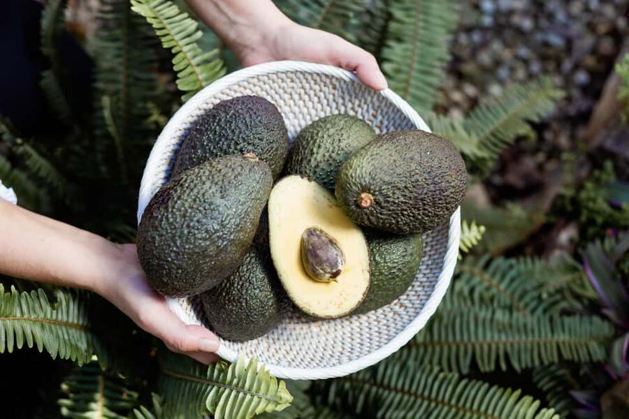 Tenerife: Avocado Farm Tour with Tasting Menu & Wine - Finding Finca Coviella and getting settled