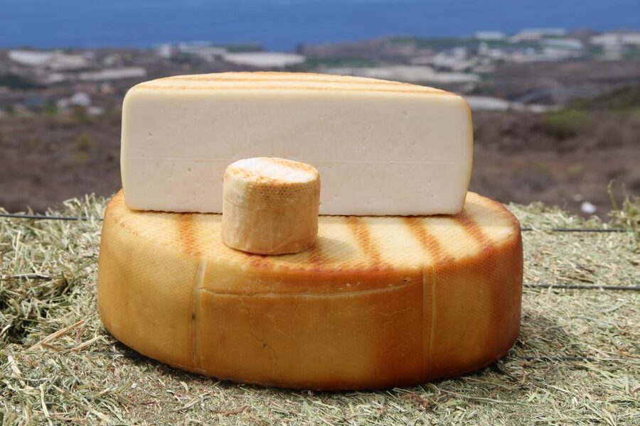Tenerife - Farm Tour with Cheese Tasting - Key points to know before booking