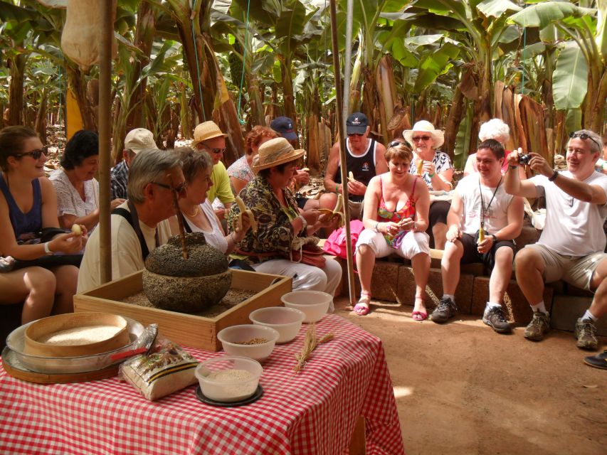 Tenerife: Finca Las Margaritas Banana Plantation Experience - Who should book Finca Las Margaritas?