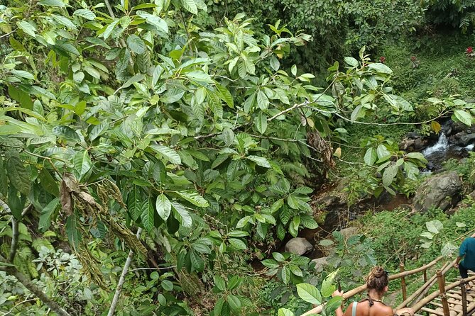 Tetebatu Guided Tour in Rice Terraces Waterfall and Monkey Forest - Traditional Sasak homes and everyday skills