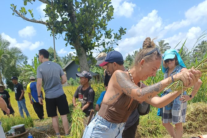 Tetebatu Guided Tour in Rice Terraces Waterfall and Monkey Forest - A home-cooked Sasak lunch