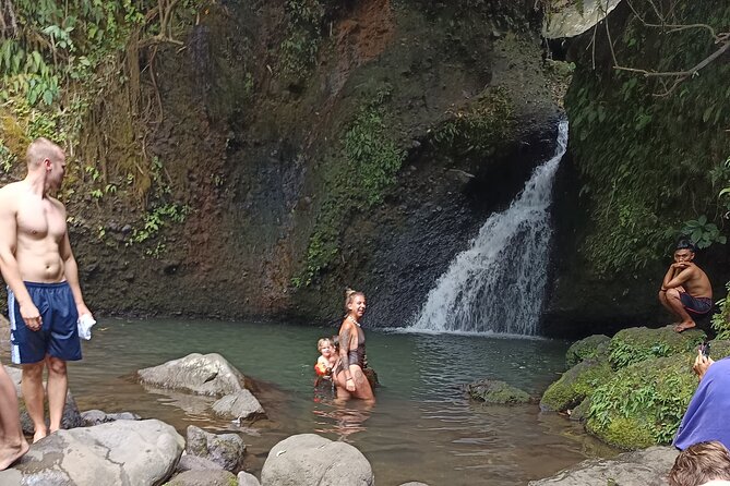 Tetebatu Guided Tour in Rice Terraces Waterfall and Monkey Forest - What the $75 price includes