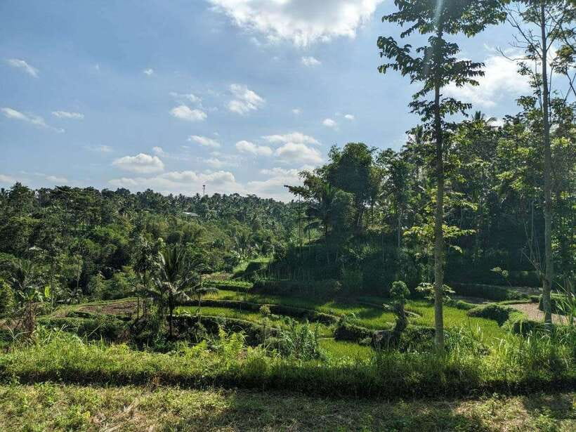 Tetebatu: Privat Tour Rice Terrace, Waterfall, Monkay forest - Tetebatu is Lombok at walking pace