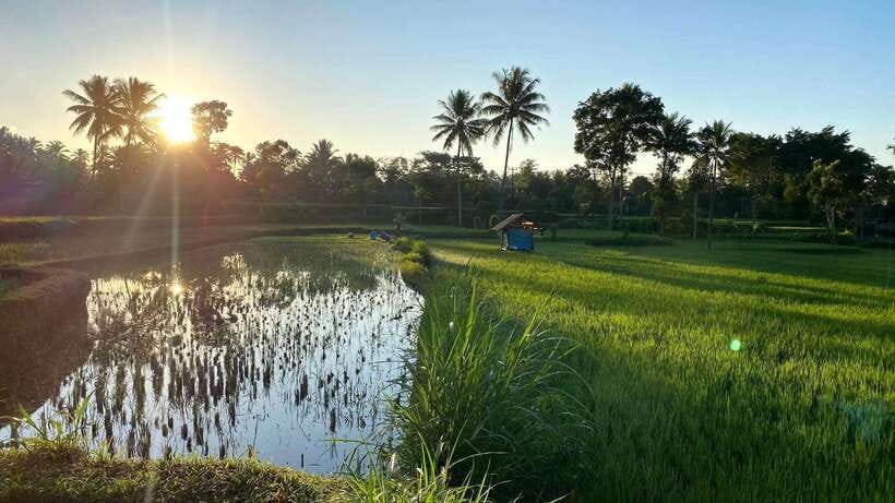 Tetebatu: Privat Tour Rice Terrace, Waterfall, Monkay forest - The drive to Tetebatu matters
