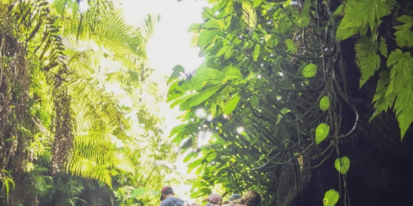 Tetebatu: Rice Fields, Waterfall, & Monkey Forest Day Tour - The 8:00 AM pickup and ride to Tetebatu