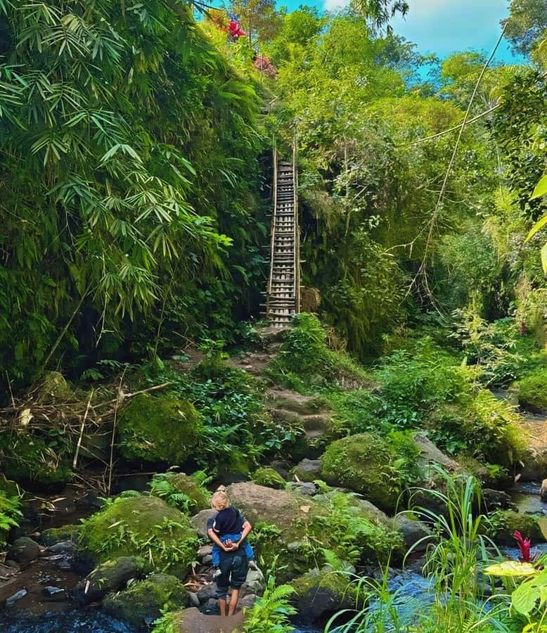 Tetebatu : Walk on Rice Terrace, Waterfall and Black Mongky - The waterfall and river section